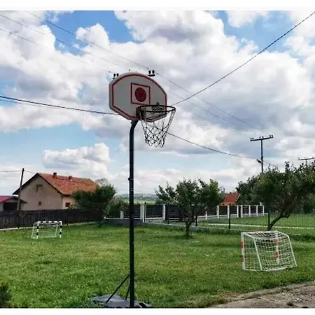 Seosko Turisticko Domacinstvo Stankovic * Arandjelovac