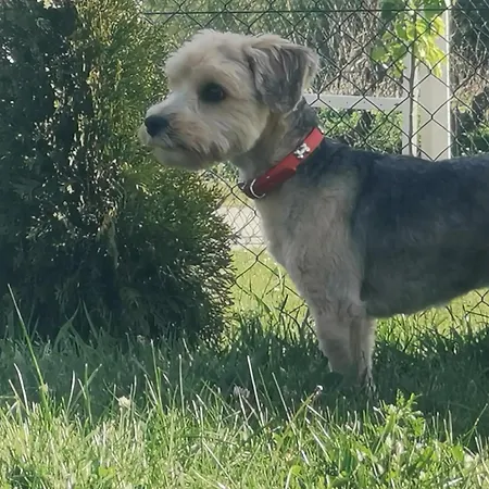 Seosko Turisticko Domacinstvo Stankovic Semesterbostad *